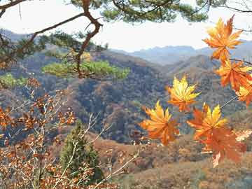 123澳門六開彩免費資料,探索澳門游戲文化，經(jīng)典解讀與解析的挑戰(zhàn)款魅力,全面數(shù)據(jù)應(yīng)用分析_Chromebook36.48.78